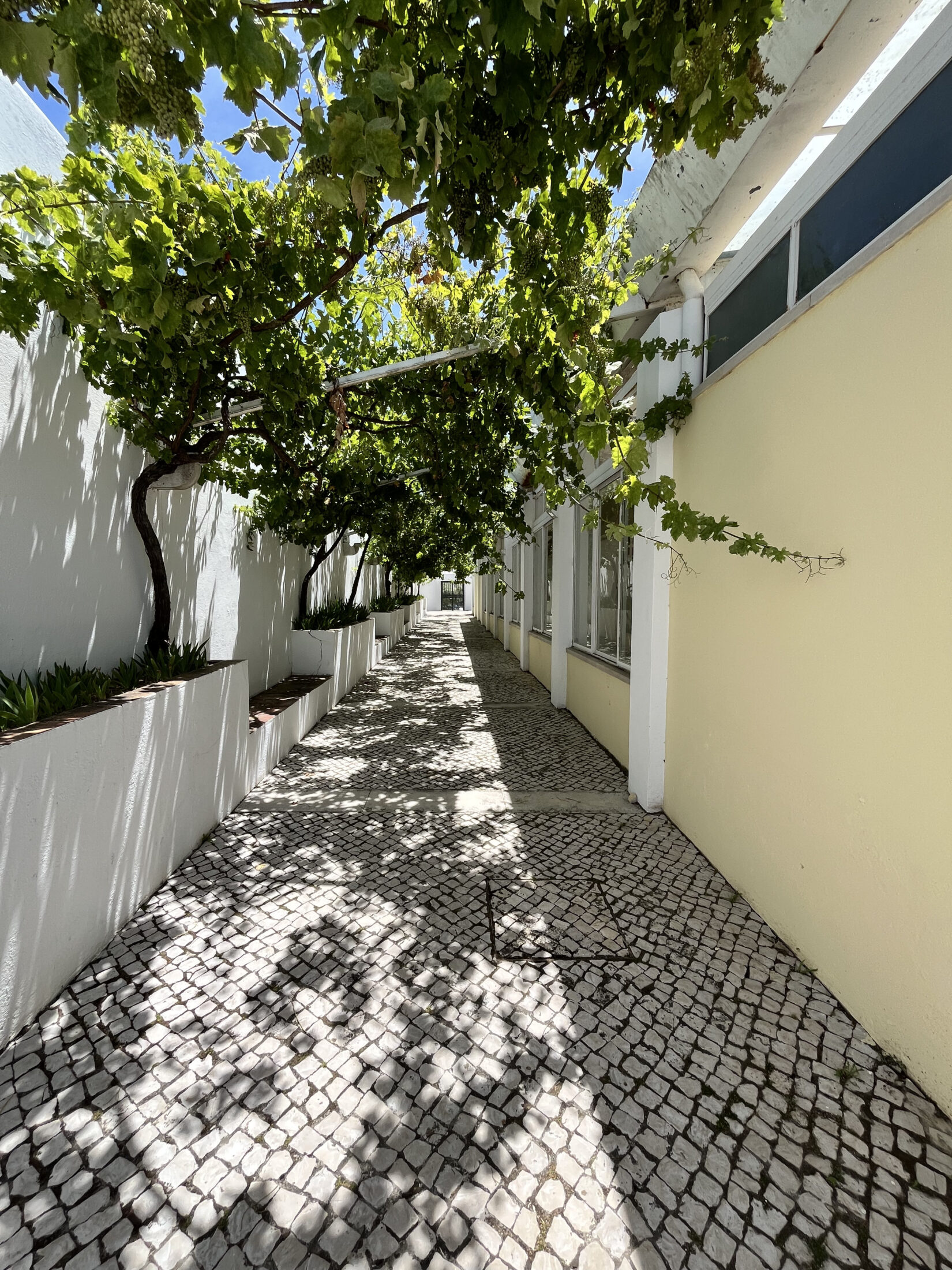 Image gallery image